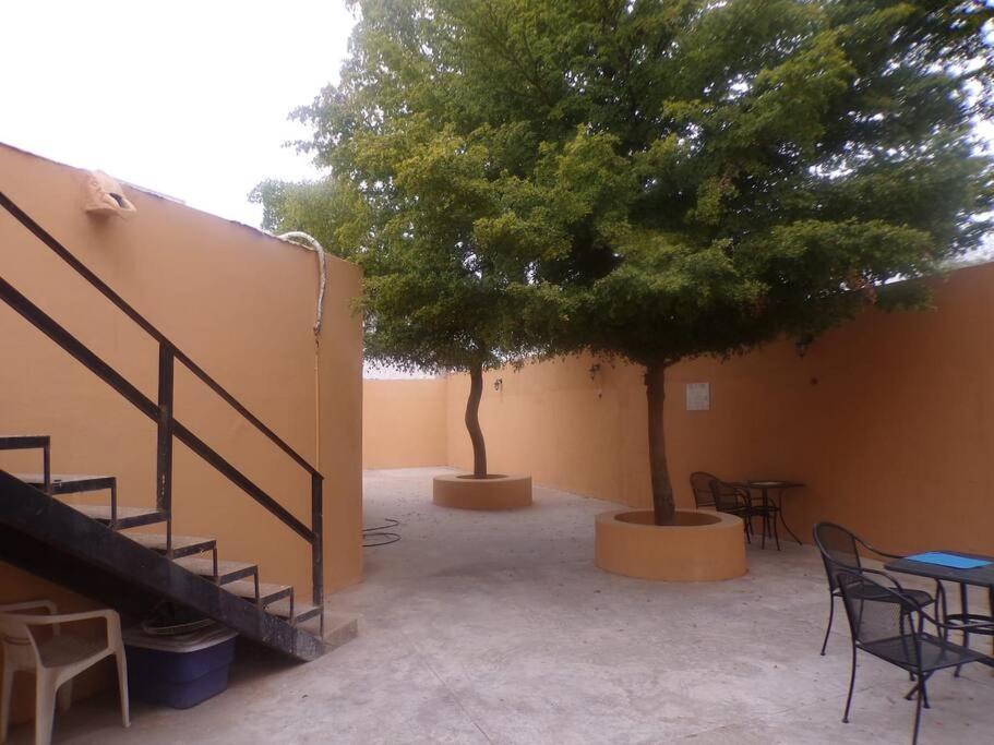 Departamento 23 Centrico , Confortable , Cerca De Galerias Mall , Vado Del Rio , Pepsi , Consulado, Cas 埃莫西约 外观 照片